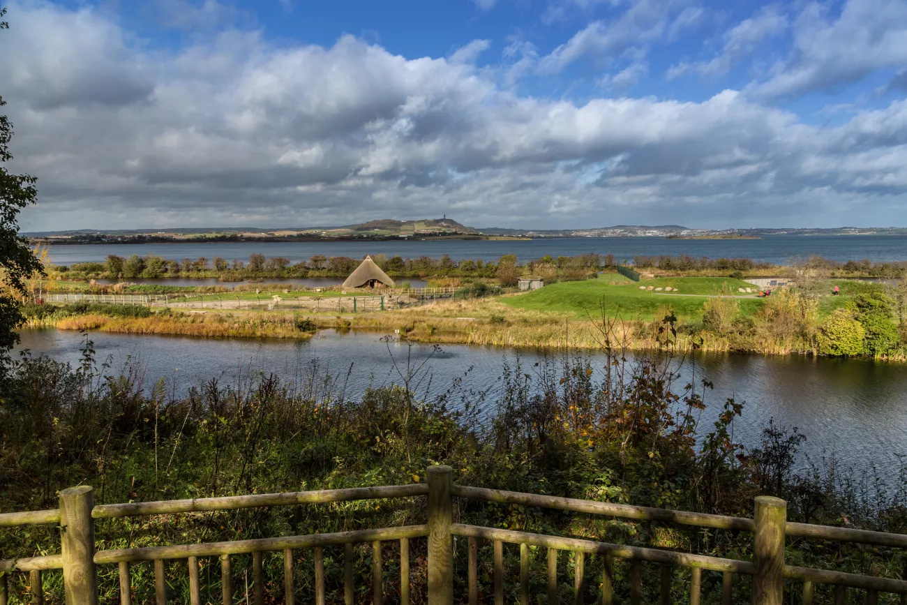WWT Castle Espie.jpg Marshland view at Castle Espie