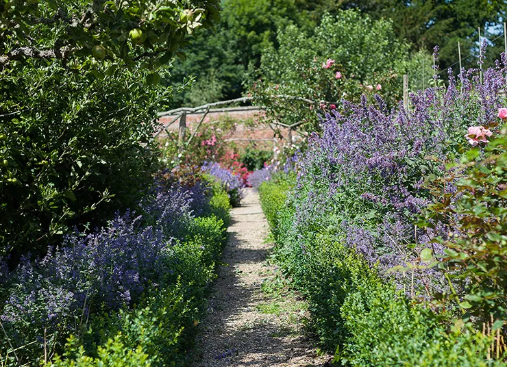 abbotsford-gardens.jpg Abbotsford gardens