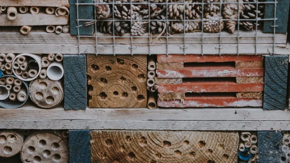 bug-hotel_0.jpg Example of a bug hotel